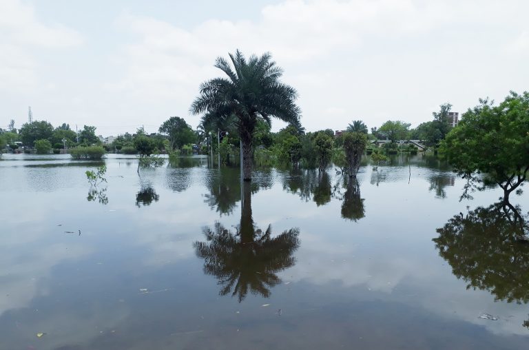 Rainwater accumulated in Kashmir Park, Faisalabad.