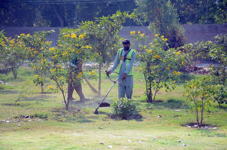 Rising Heat and Vanishing Greenery Worsen Faisalabad’s Climate Crisis