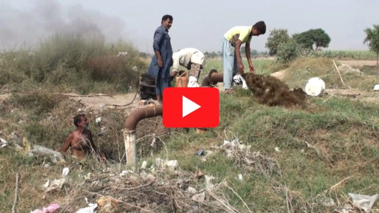 Farmers in Faisalabad Struggle as Contaminated Groundwater Threatens Agriculture