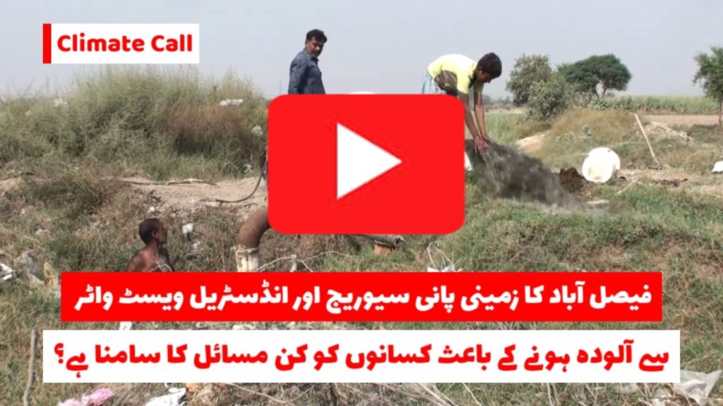 Farmers in Faisalabad Struggle as Contaminated Groundwater Threatens Agriculture