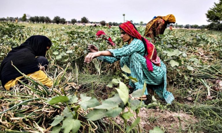 Rural Women