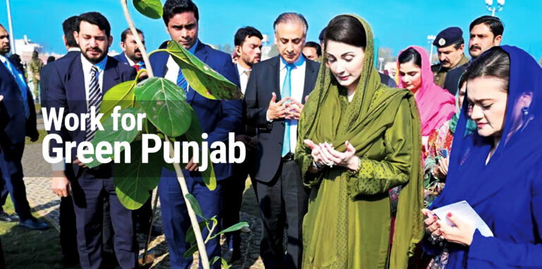 Five-Day Online Boot Camp for Eco-Volunteers Kicks Off Under Punjab Green Credit Program