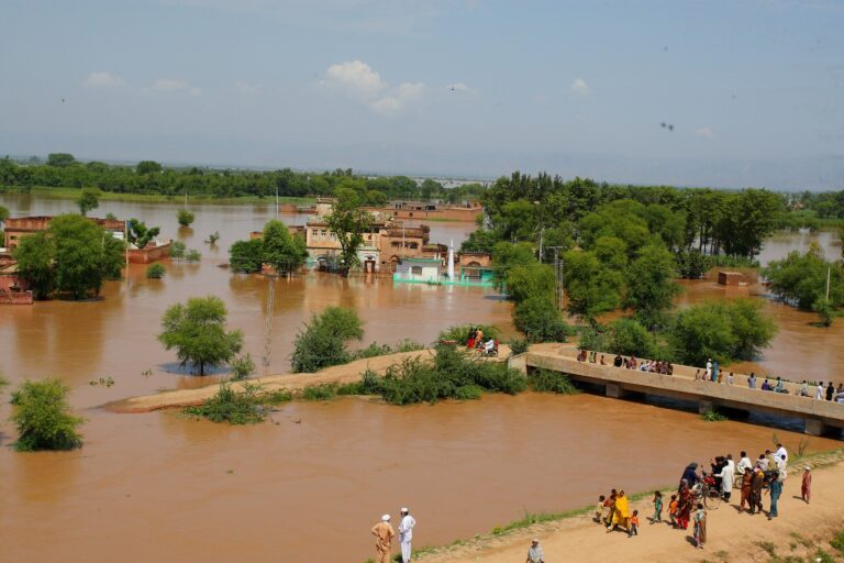Flood 2025