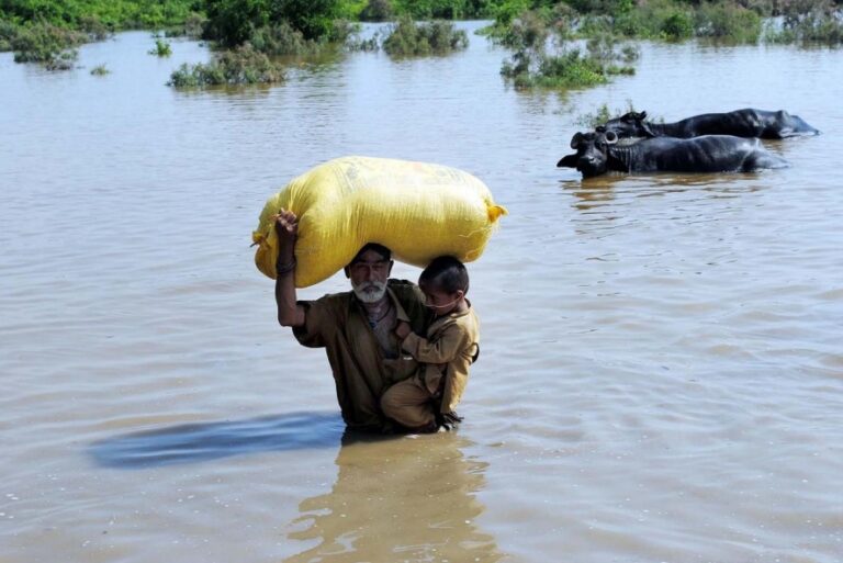 Flood in Punjab