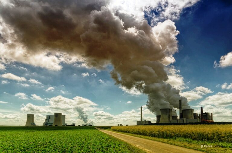Pakistan Could Earn Billions Through Carbon Credits but Faces Governance Hurdles: TI Report