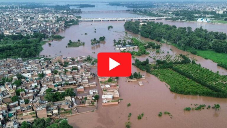 Planting Trees: A Natural Shield Against Floods and Climate Change