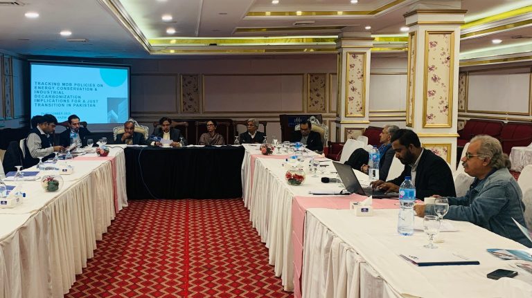 Pakistan’s Climate and Energy Crisis Demands Structural Reforms, Not More Debt